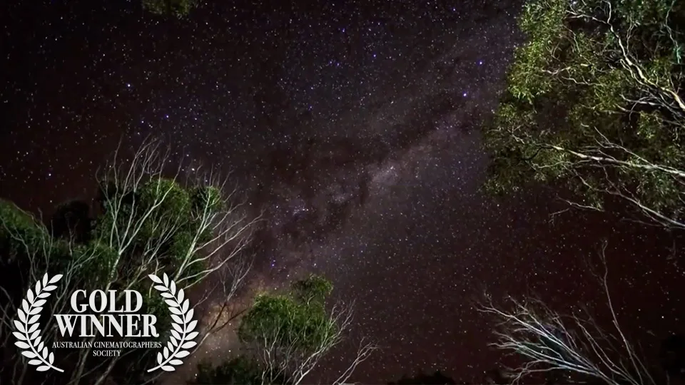 Stargazers Guide to the Cosmos — wide landscape