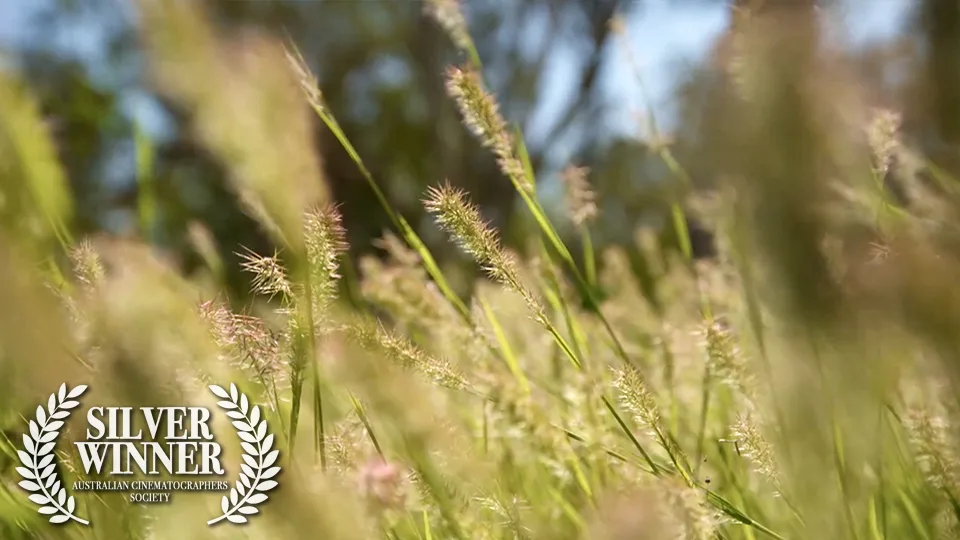 Lost Diamonds — Canon CineZoom production
