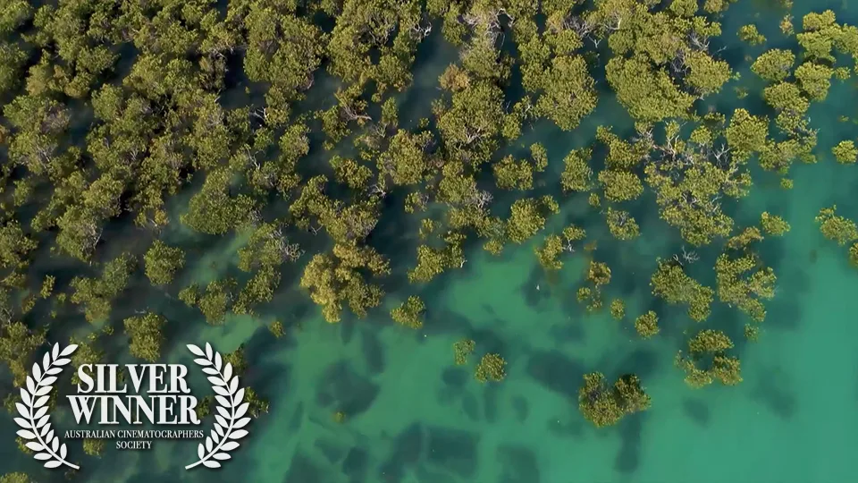 Lost Diamonds — final frame SBS documentary